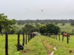 Fazenda com 39 ha em Dois Irmãos do Buriti