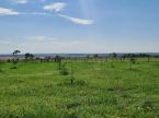 Fazenda 904 hectares - 80 KM de Campo Grande