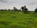 540 hectares - Ribas do Rio Pardo