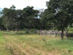 Fazenda com 163,50 ha