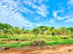 Terreno em área de grande crescimento