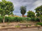 Terreno grande no bairro Taveirópolis