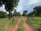 Fazenda com 226 hectares em Corguinho - MS