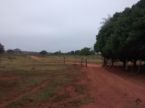 Fazenda 950 ha - vendo ou troco - na pecuária