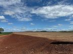 Fazenda de 50 hectares em Sidrolândia