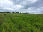 80 hectares - pecuária estruturada