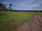 Fazenda Cachoeirão - Terenos-MS