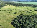 Chácara - 4 hectares em Bonito-MS