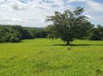 Fazenda - Rio Verde/MS - área total 1.000 h