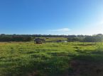 Venda Fazenda Zona Rural