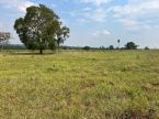 Chacará 50 hectares em Dois Irmãos do Buriti