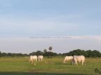 Fazenda no Pantanal - à beira do rio Paraguai