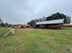 Fazenda com 220 ha