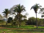 Lote 600 m² - entrada reduzida R$ 5.400,00