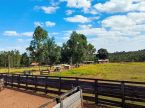 Fazenda 650 hectares em Campo Grande na BR
