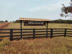 Fazenda saída Ribas - 103 hectares - lado Águas Turvas