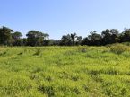 1690 ha - fazenda a 90 km de Miranda