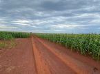 Venda Fazenda Zona Rural