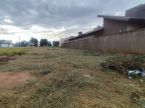 Terreno 360 m² - nascente - caída para frente - asfalto