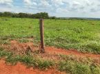 Fazenda de 200 ha - oportunidade - R$ 6,5 milhões