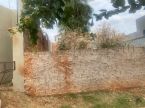 Terreno no bairro Polonês