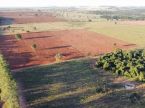 Lavouras 365 hectares - Naviraí/Juti
