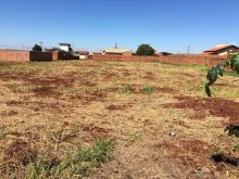Área de 2.765m² no Parque dos Jequitibás