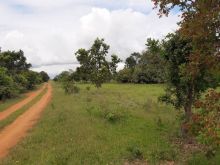 14 ha - Chácara das Mansões - à 30min de Campo Grande