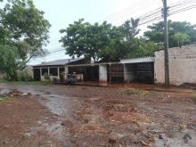 Oportunidade no Pioneiros