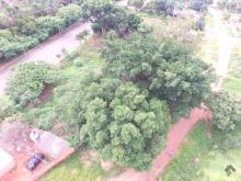 Terreno - área de 1.304m²