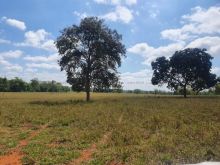 Dupla aptidão 178 hectares - Rio Aquidauana
