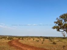 Fazenda pecuária em Bandeirantes
