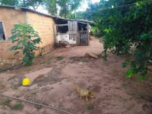 Chácara em Ribas do Rio Pardo