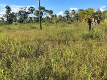 Área rural para arrendamento Pantanal Nabileque