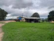 Fazenda pronta de 1.110 hectares com Rio Miranda