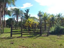16 ha - terra vermelha - 22 km de Campo Grande