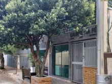 Imóvel comercial com renda