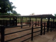 Ótima chácara em Terenos