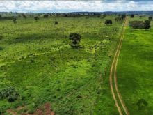 Fazenda pecuária na região de Paraiso das Águas - 1.370 ha