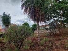 Terreno na área central de Campo Grande