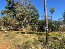 6 terrenos juntos - oportunidade de negócio