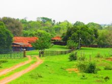 Fazenda com 859 hectares