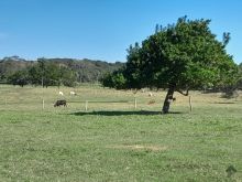 Fazenda em Bonito com 83 hectares e Rio Mimoso