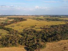 Fazenda produtiva a 1.500m do asfalto
