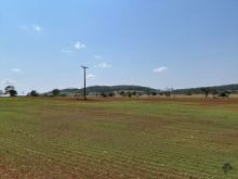 Fazenda com 1.550 hectares