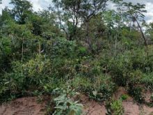 Lote barato no Parque Jardim Atlântico