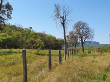 Fazenda de Pecuária 547 hectares em Aquidauana