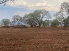 Fazenda em Rio Negro
