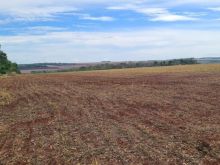 Fazenda com 340 hectares