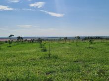 Fazenda 904 hectares - 80 KM de Campo Grande